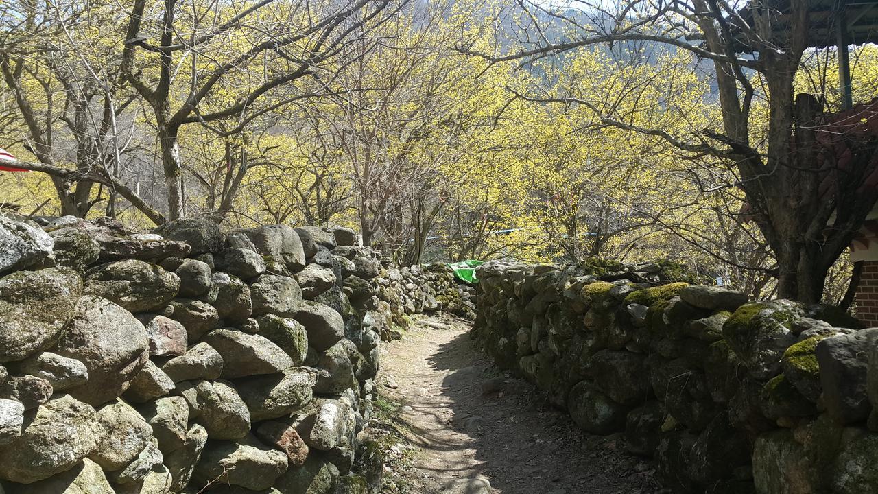 求礼郡 古尔旅馆酒店 外观 照片